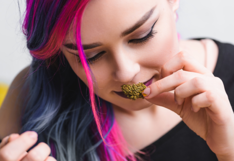 Grading explained: How is the aroma of cannabis graded?